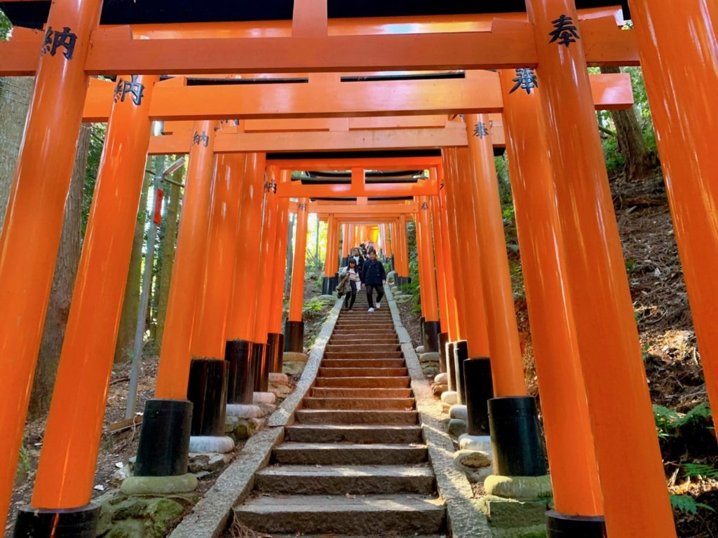 伏見稲荷　稲荷山　鳥居